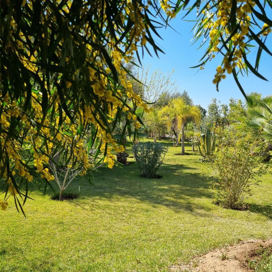 Riad Les Deux Citronniers Marrákes Kültér fotó