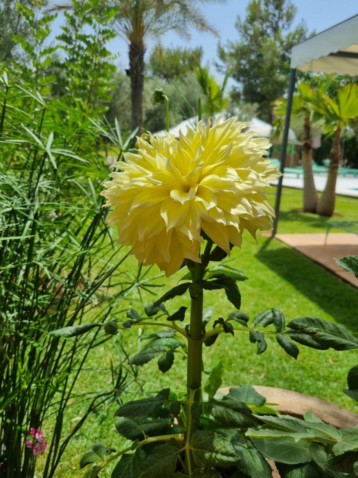 Riad Les Deux Citronniers Marrákes Szoba fotó