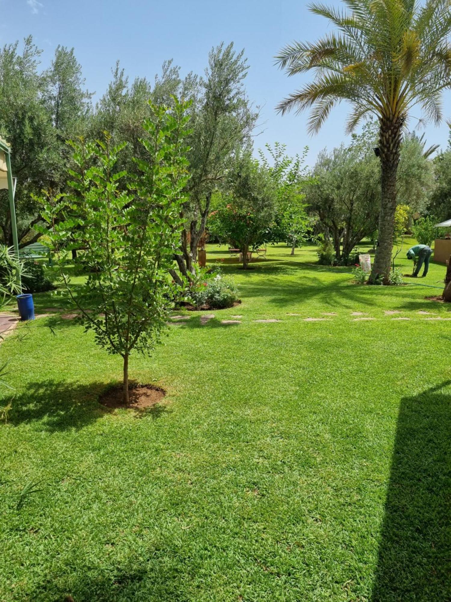 Riad Les Deux Citronniers Marrákes Szoba fotó